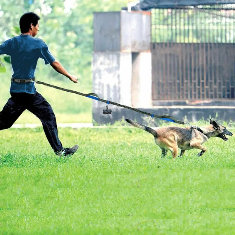 Reflective Hands-Free Dog Running Leash