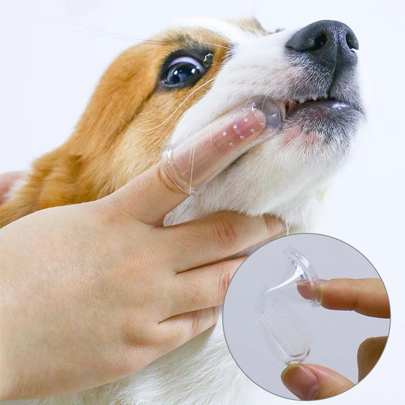 Gentle-Care Pet Finger Toothbrush