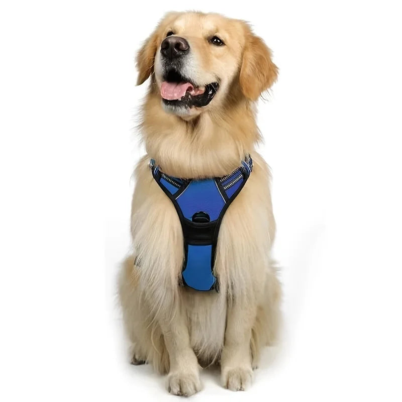 No-Pull Dog Harness - Adjustable Soft Padded Vest with 2 Leash Clips (Black)