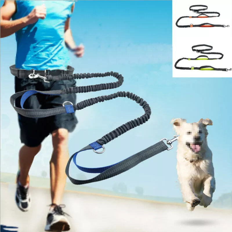 Reflective Hands-Free Dog Running Leash