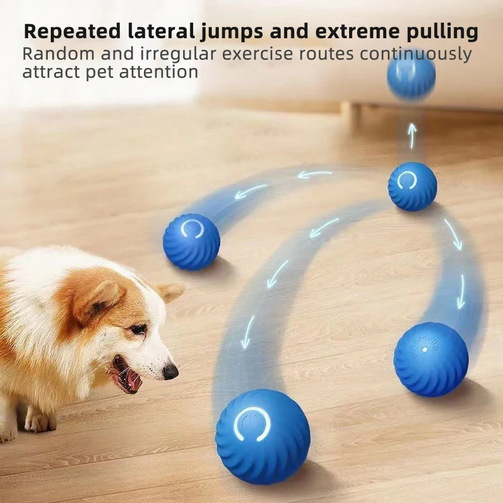 Smart Bounce USB Interactive Dog Ball