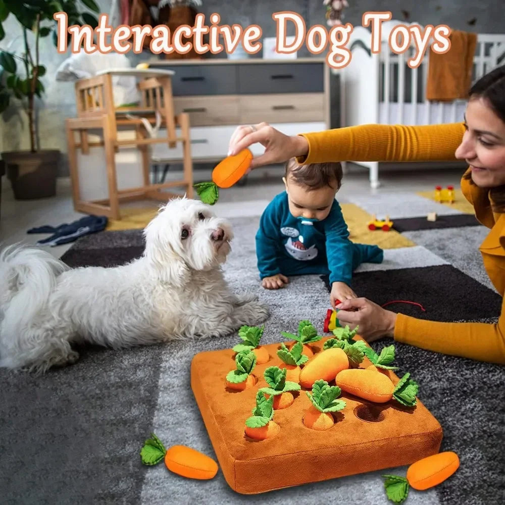 Interactive Carrot/Strawberry Snuffle Mat for Dogs