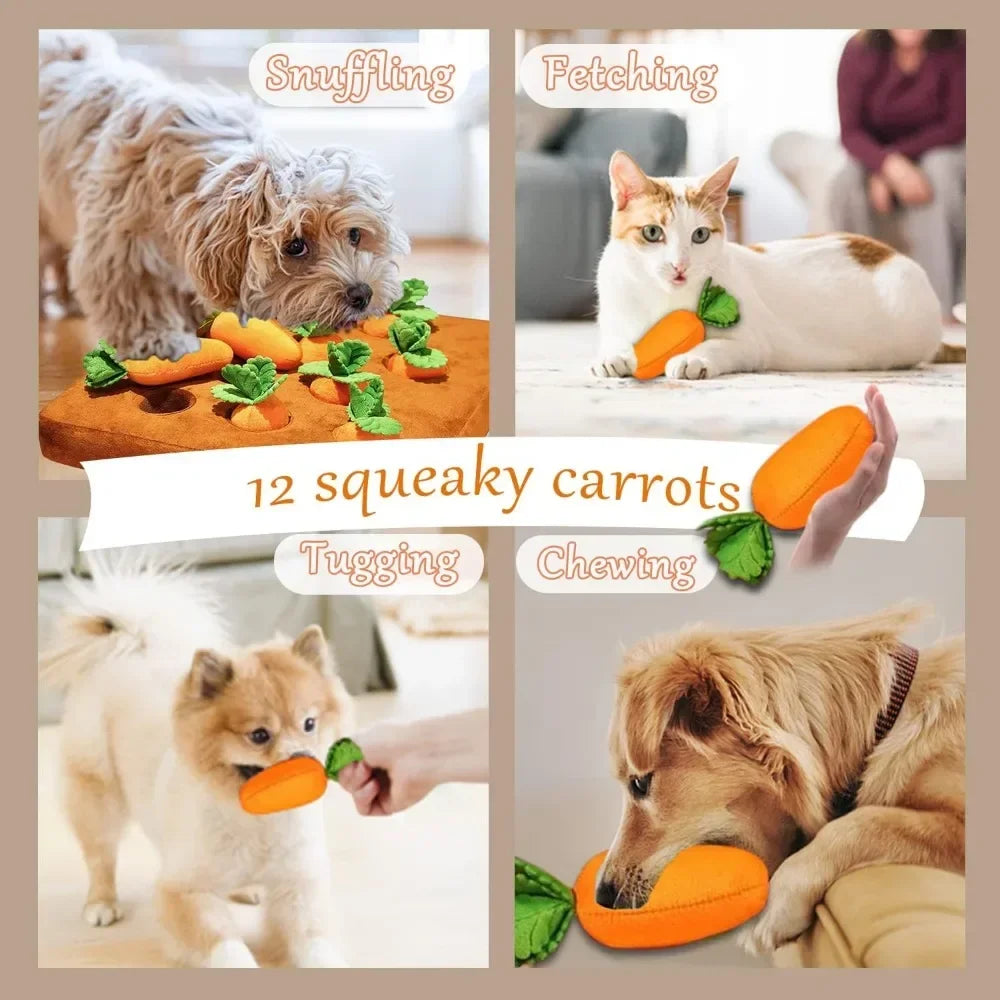 Interactive Carrot/Strawberry Snuffle Mat for Dogs