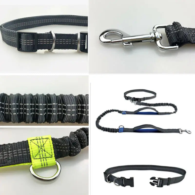 Reflective Hands-Free Dog Running Leash