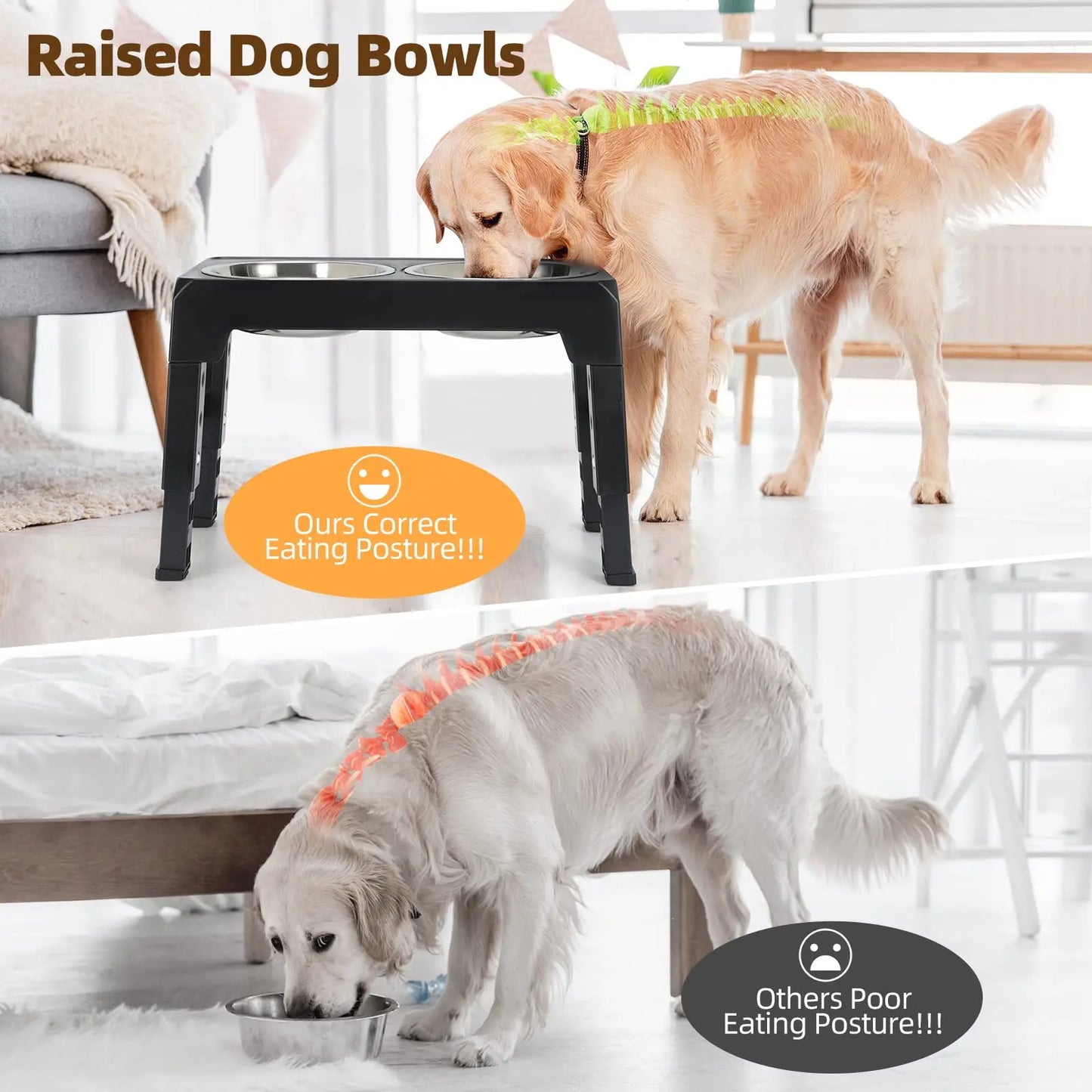 Adjustable Elevated Dog Feeder with Double Stainless Steel Bowls