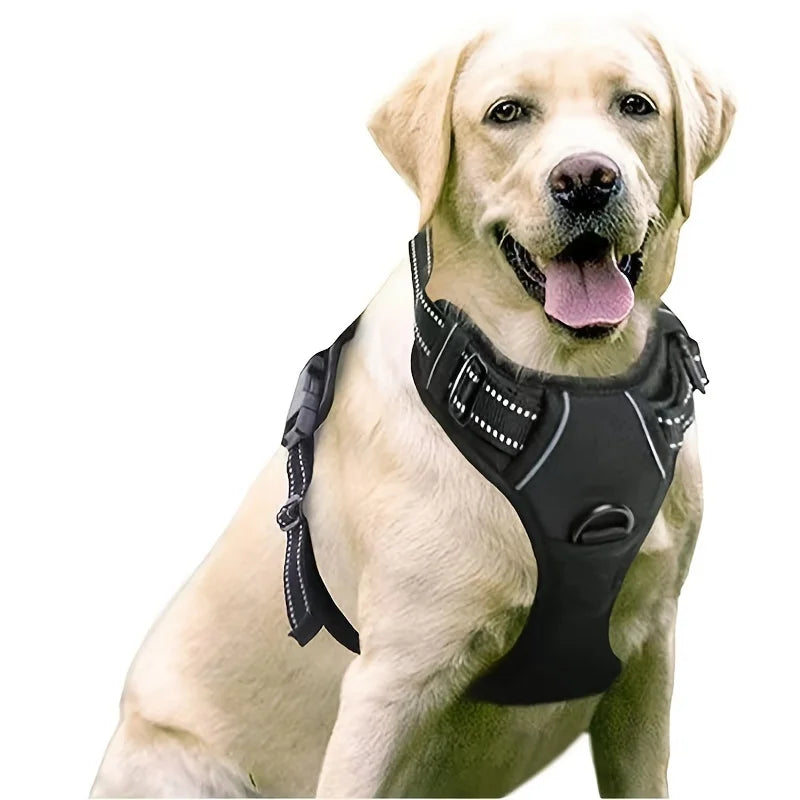 No-Pull Dog Harness - Adjustable Soft Padded Vest with 2 Leash Clips (Black)